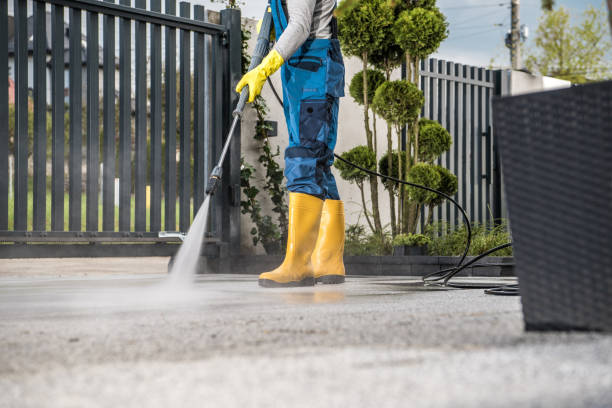 Professional  Pressure Washing Services in Watervliet, MI